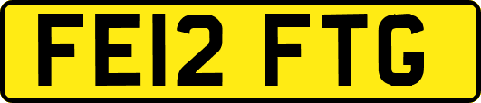 FE12FTG