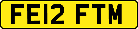 FE12FTM
