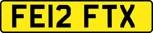 FE12FTX