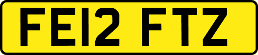 FE12FTZ