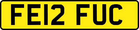 FE12FUC