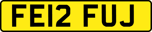FE12FUJ