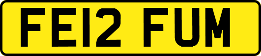 FE12FUM