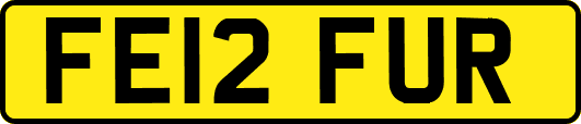 FE12FUR