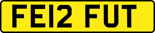 FE12FUT