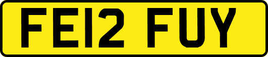FE12FUY