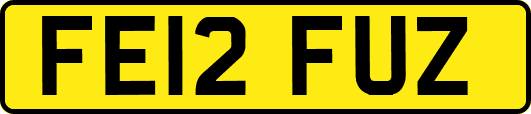 FE12FUZ