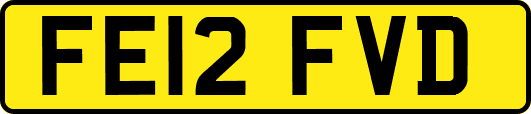 FE12FVD