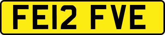 FE12FVE