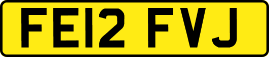 FE12FVJ