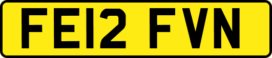 FE12FVN
