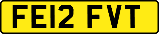 FE12FVT