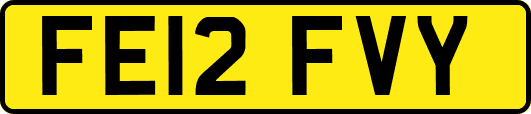 FE12FVY