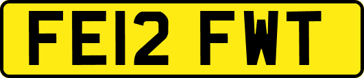 FE12FWT