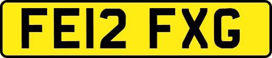 FE12FXG