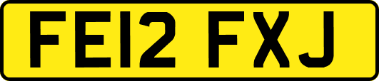 FE12FXJ