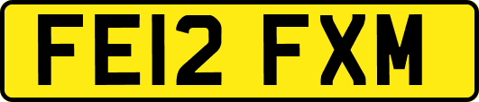 FE12FXM