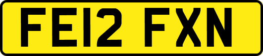 FE12FXN