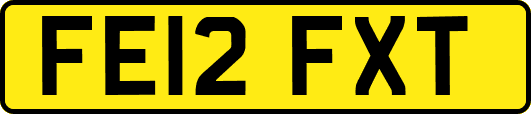 FE12FXT