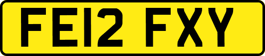 FE12FXY