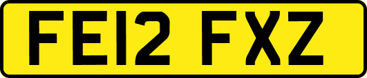 FE12FXZ
