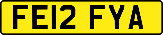 FE12FYA