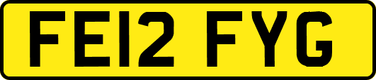 FE12FYG