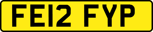 FE12FYP