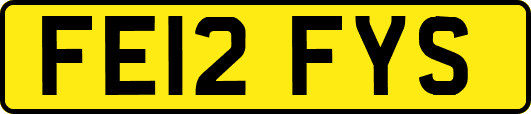 FE12FYS