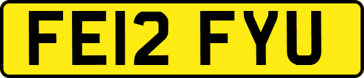 FE12FYU