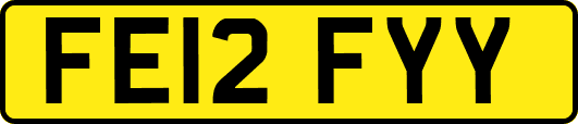 FE12FYY