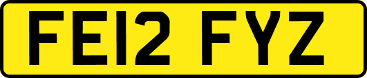 FE12FYZ
