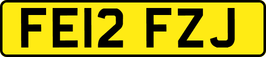 FE12FZJ