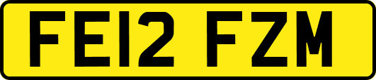 FE12FZM
