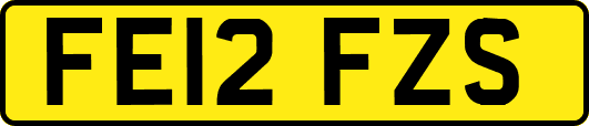 FE12FZS