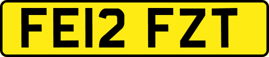 FE12FZT