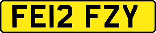 FE12FZY