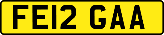 FE12GAA