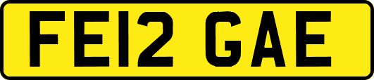 FE12GAE