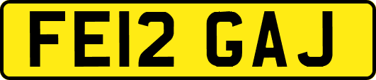 FE12GAJ