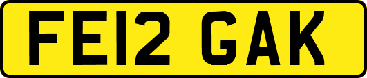 FE12GAK