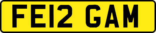 FE12GAM