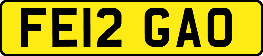 FE12GAO