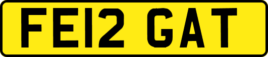FE12GAT