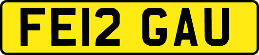 FE12GAU