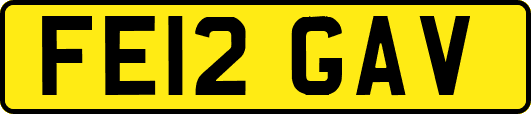 FE12GAV