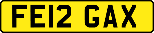 FE12GAX