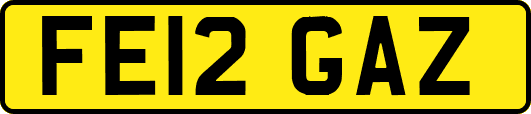 FE12GAZ