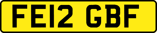 FE12GBF