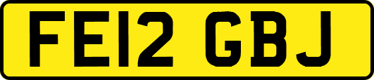 FE12GBJ